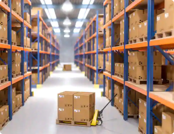 Customs Clearance